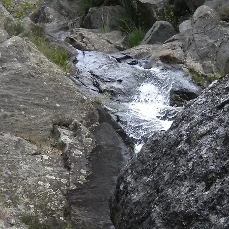 De La Roque *